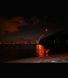 Monsters of Miami