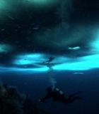 The Wild Blue Yonder
