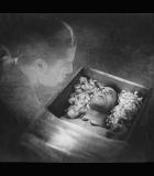 Vampyr