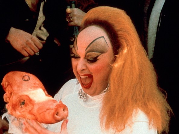 Divine-Pink-Flamigos-594x446.jpg
